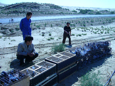 80����½����Ÿ��ѷŸ����