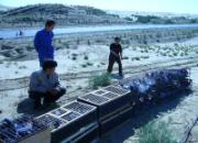 80����½����Ÿ��ѷŸ����