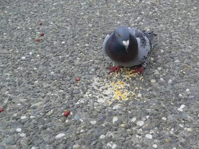 ��ס������ ������Ե��(ͼ)