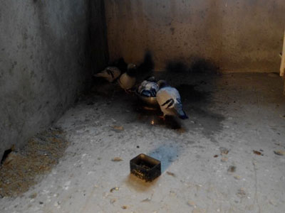 ���䣺����ϴ�軹ҪС̫��