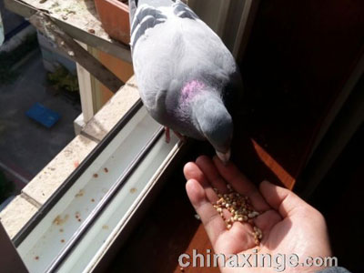 һֻ��Ե������