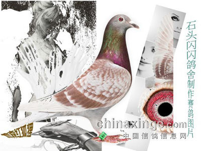 �����޽� ��ĳ�˸���ȫ����̭