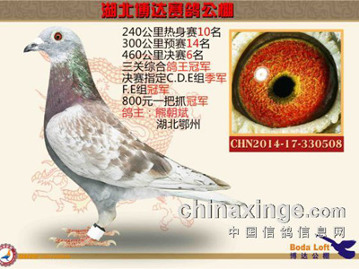 ��˽���ھ��������������ָ�(ͼ)