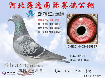 �ӱ����ݹ�������񽱸�����(ͼ)