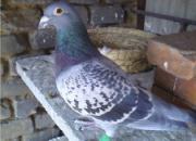 21����ѣ����������������(ͼ)