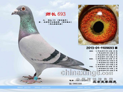 ����������ս����ʷ�Ҹ�Է��(ͼ)