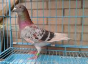 ���ҵ͹���108 ������ȴ���λ