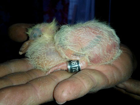 �ϻ��գ�������ҵ�˫��(ͼ)