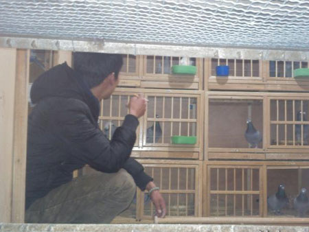 ����20�� �����賿����˯(ͼ)