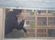 ����20�� �����賿����˯(ͼ)