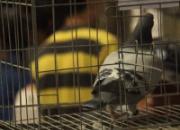 ������������Ƶ��Ŀ��ɽ����������칫�����佱������(�ڶ���)