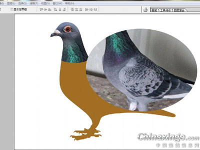 ����׼������ʵ�ܼ�(ͼ)