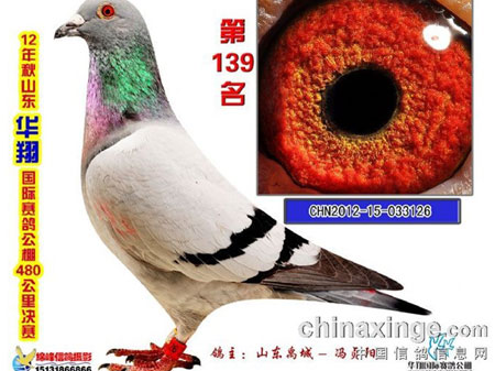 �������꣺�����벻����(ͼ)