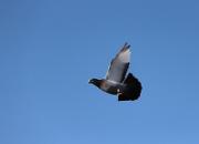 ֱ��500���� 12��10