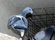 �ҵĶ��ȸ룺��һ�ּ�ǿ�иж�(ͼ)