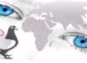 ��Ƶ���񽱸�������