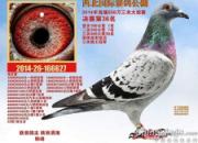 ���������������ھ�30���ĳ�(ͼ)