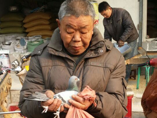 ����һ��δ�� ��������ʲô��