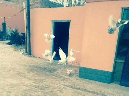 ��ѧ�����ݷ��ġ������Ρ�����(ͼ)