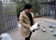 ����PK������ô�죺�����Ĳ������ɻ���