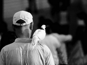 �����ܾ�һλ�ϸ����������