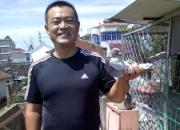 �����������· �������߹���(ͼ)