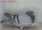 �����ȡ���ʿ����������������(ͼ)