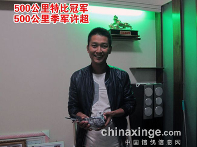 һ·���뻨 �ɾ�80�����(ͼ)