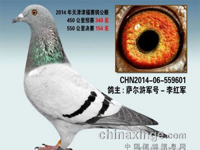 ��ֽ����� �ɹ��Ľݾ�(ͼ)