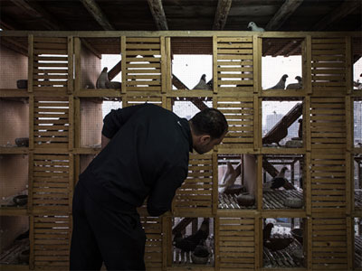 �������������ˣ���������ɺ��ҳ�(ͼ)