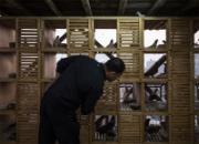 �������������ˣ���������ɺ��ҳ�(ͼ)