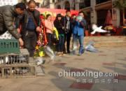 ��������꿪ҵ 98���Ÿ�����(ͼ)