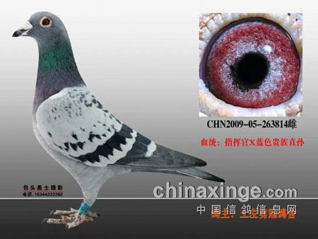 һ�������ܽ᣺���ø����ۼ���(ͼ)