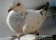 ���桰�������䡱 �ɾ͹ھ���(ͼ)