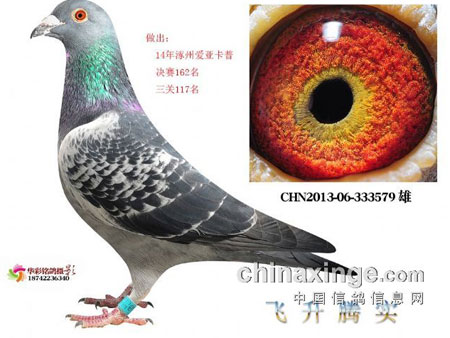 ���׸�������ɵø���(ͼ)