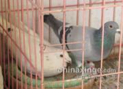 ���˷������� ��̨����԰��ȡ(ͼ)