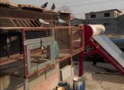 ��������·���ս����ֱ��˶�(ͼ)