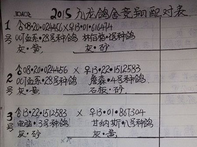 ��������15����Լƻ�(ͼ)