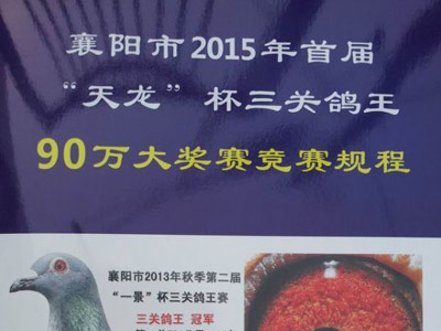 ����80������90��ٰ조��������(ͼ)