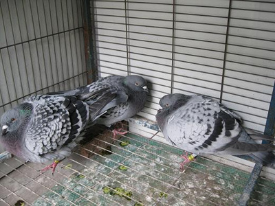 ��һ�β��� ���ٲ�������