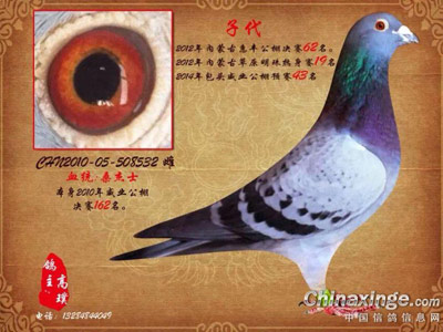 2015������ĸ����Լƻ�