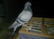 ����˼��ң������߹�����һ����(ͼ)