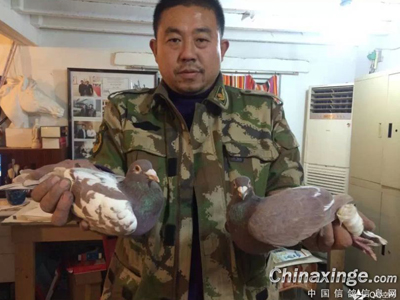 ���ˣ���Ⱥ�ܶ�̫��Ҳ����̭(ͼ)