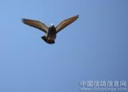 �������������� �״β������Ǿ�