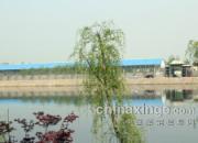 ���������Ϊ��������֮��(ͼ)