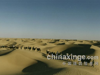 �����Ƽ�������������Щ��Ѫ��(ͼ)