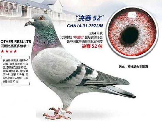 ����52��ĩ��������Ӯʮ��(ͼ)