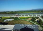 �����������ʣ����շѸ�����(ͼ)