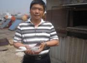 ʮ�������Ҫ�����Լ���Ѫϵ