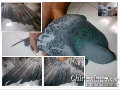 15����ĵ�һ������ʮ����(ͼ)